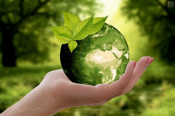 Symbolbild: Hand hält grünen Planeten Erde