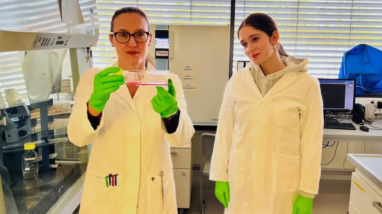 Dr. Katja Matt zeigt kultivierte Zellen, die für Forschungsarbeiten verwendet werden.