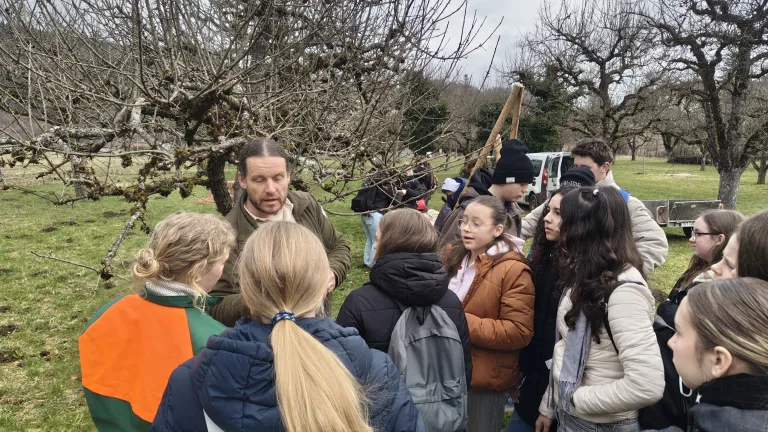 Die G8a veredelt Obstb�ume