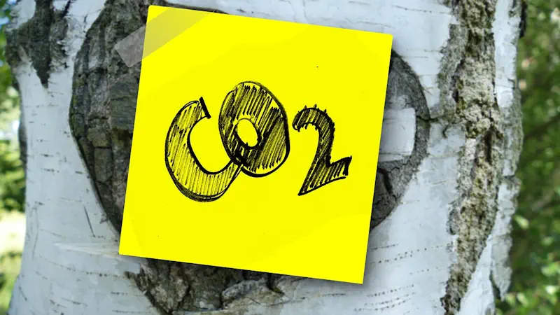 Baumstamm mit CO2 Logo - Bildnachweis: Gerd Altmann, Pixabay
