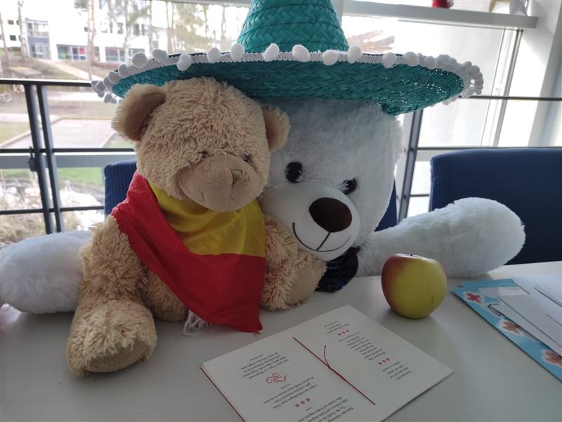 Teddys mit Sombrero lesen Gedichte