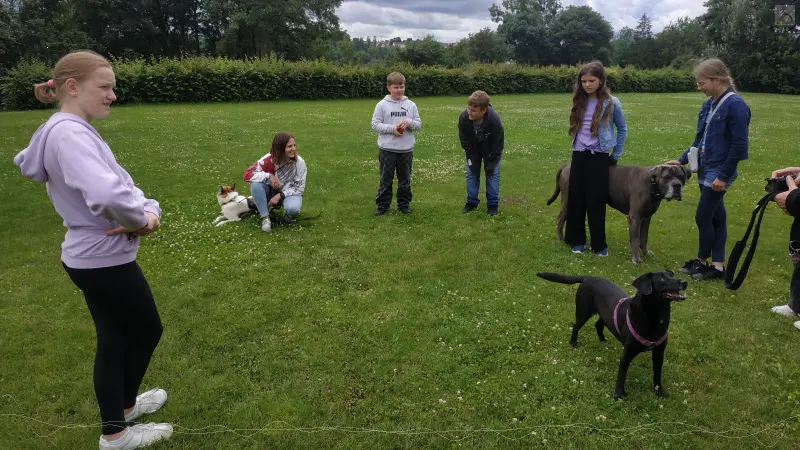 Training mit den Hunden auf dem Sportplatz