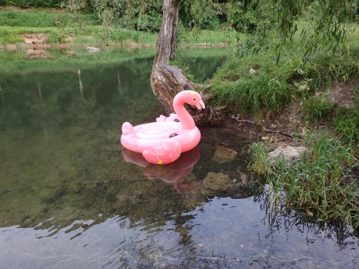 Aufblasbarer Flamingo im Teich