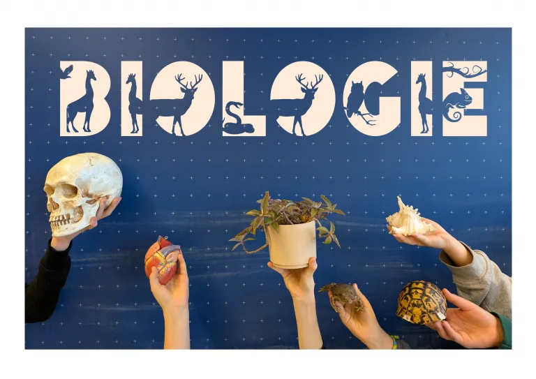 Sch�ler experimentieren